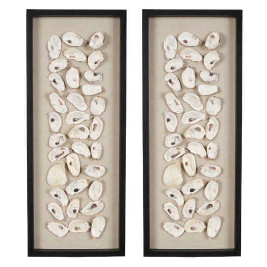 Handmade Shell Display Wall Decor Set, 30"